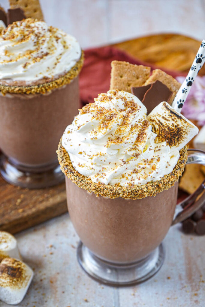 Close up of S'mores Milkshake in a glass topped with whipped cream, a toasted marshmallow, graham crackers, chocolate pieces, and a paw print straw.