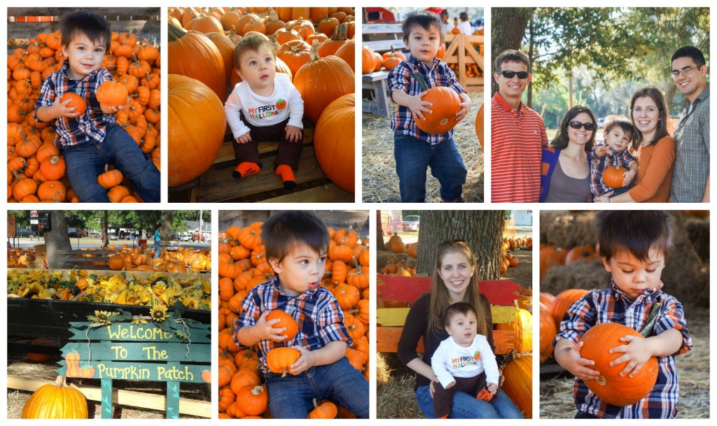 Eight photo collage of baby holding pumpkins in Niceville pumpkin patch.