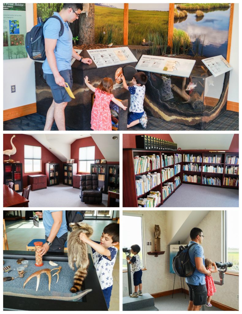 Five photo collage of hands on exhibits, books, and binoculars at the Blackwater National Wildlife Refuge Visitor Center.