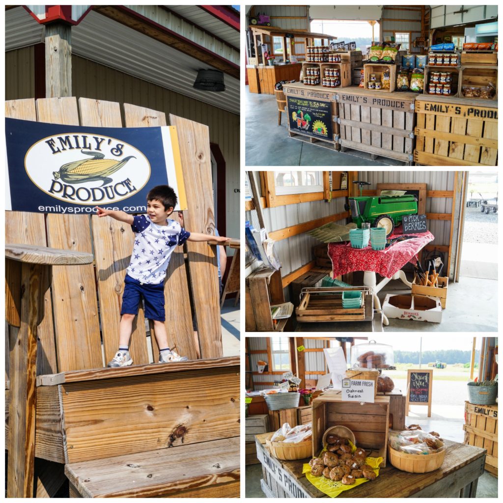 Four photo collage of boy standing on big chair, jars, boxes, and cookies inside Emily's Produce.