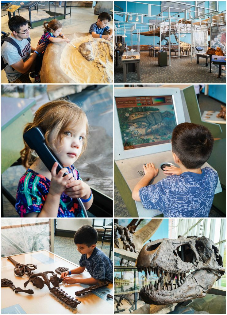 Hands-on exhibits in the Dinosaur Mysteries section of the Maryland Science Center.