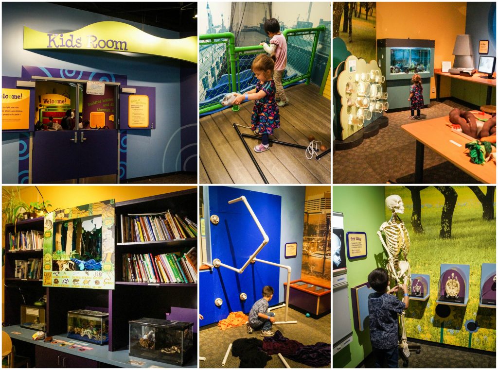 Kid's room at the Maryland Science Center with books, tanks, and a skeleton.