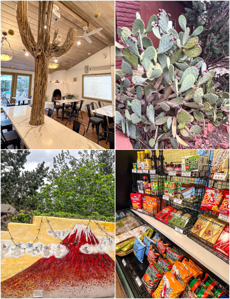 Four photo collage of seating inside The Angel Kitchen, Cactus with purple flowers, painted Mt Fuji mural on wall, and Japanese snacks on a shelf.