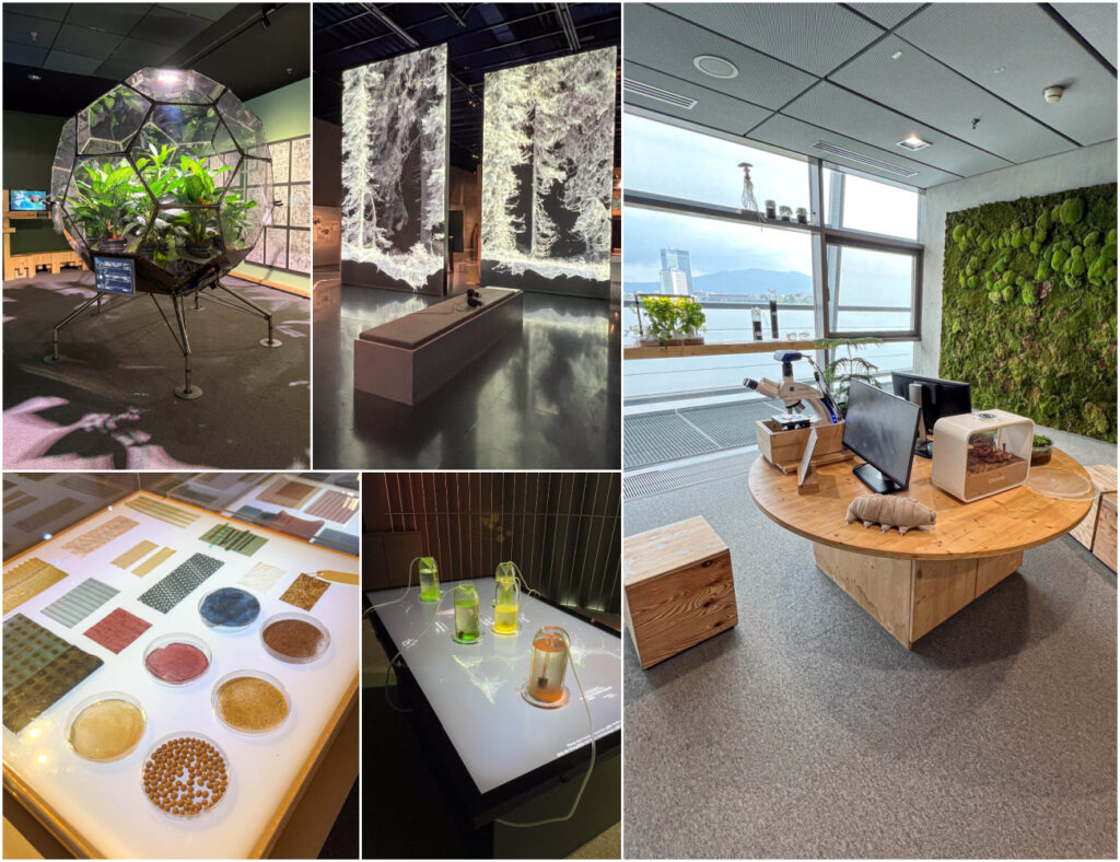Five photo collage of plants, seating area with headphones, fabrics, glasses on a table, and computers at Ars Electronica Center.