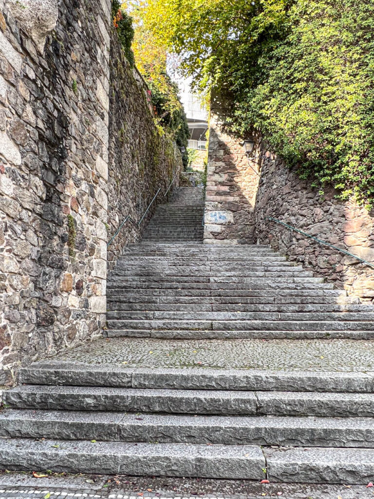 Stone stairs next to walls with ivy.