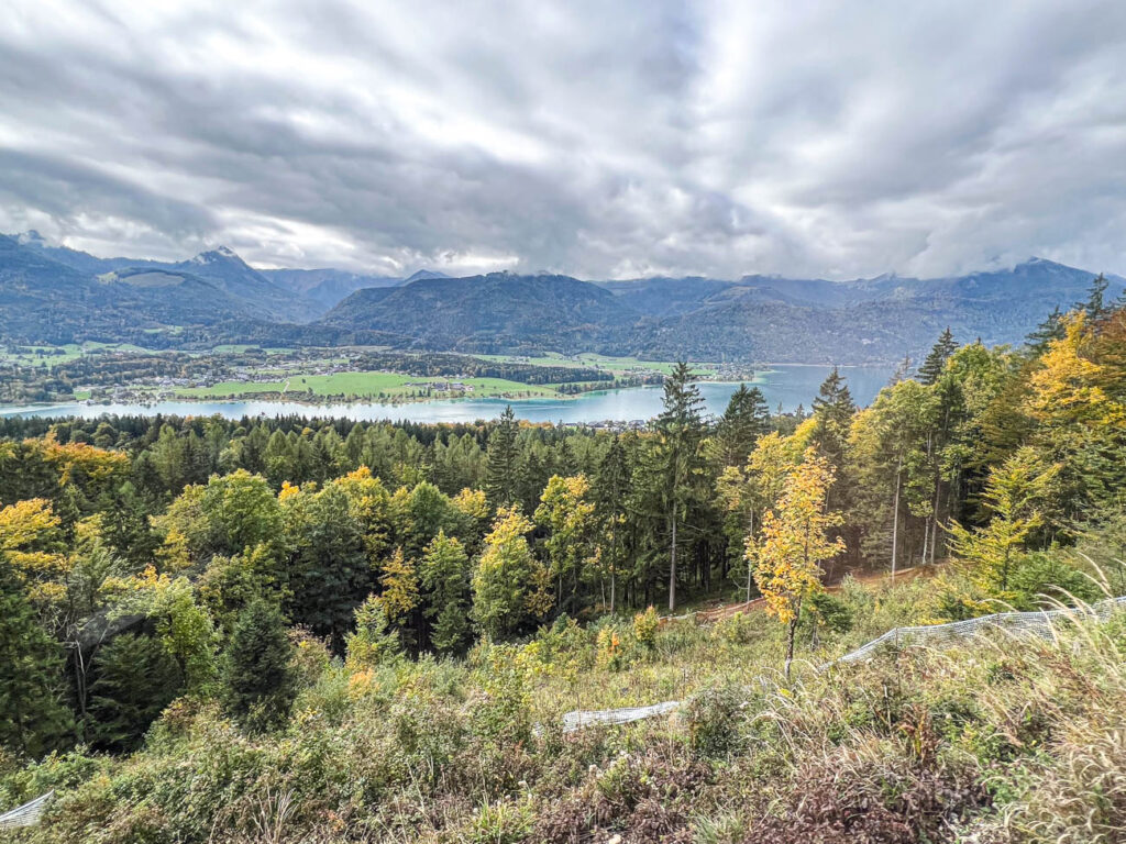 Trees and mountains surrounding Wolfgangsee.