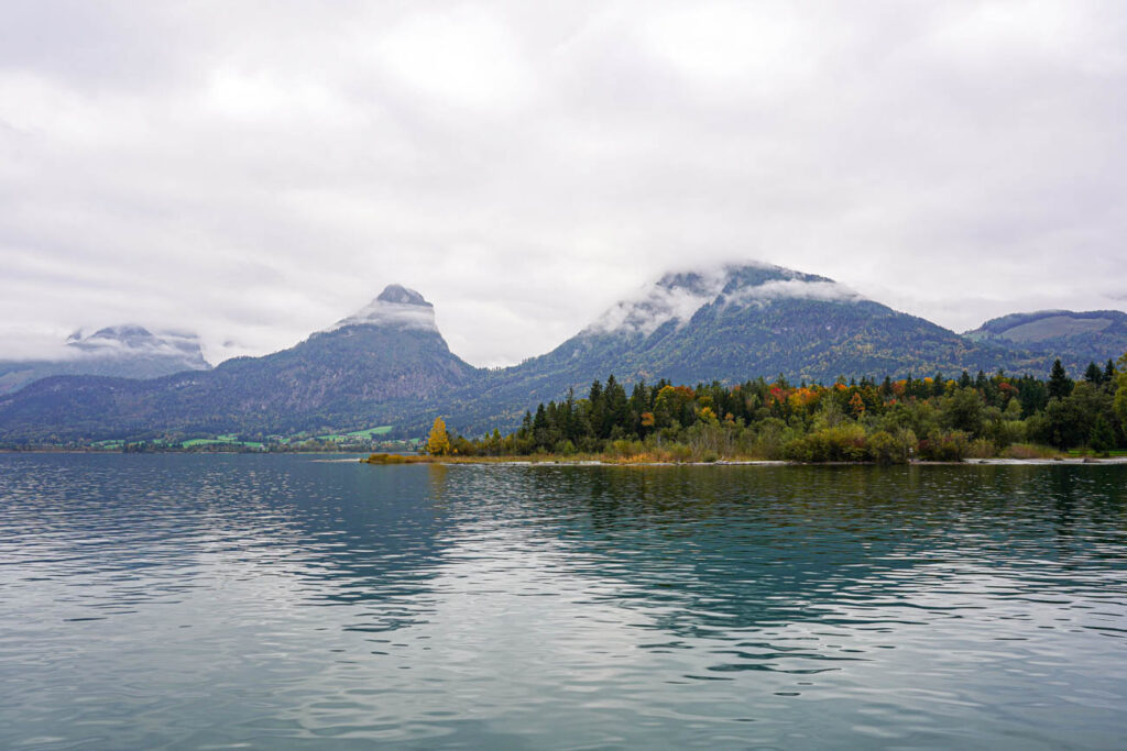 Trees along Wolfgangsee with mountains in the background.