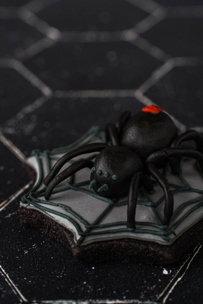 Chocolate black widow on top of a spider web cookie.