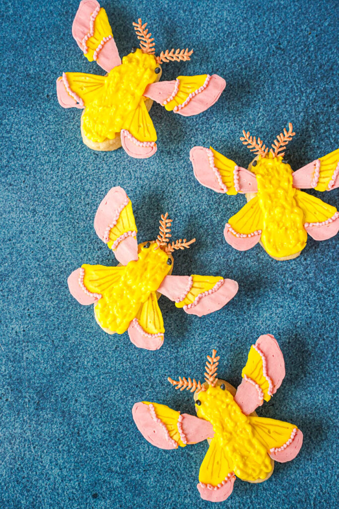 Aerial View of four Rosy Maple Moth cookies.