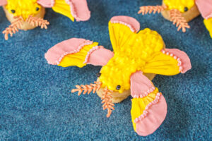 Rosy Maple Moth Cookies decorated with yellow and pink icing.