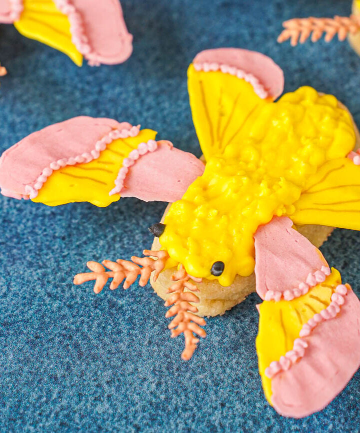 Rosy Maple Moth Cookies decorated with yellow and pink icing.