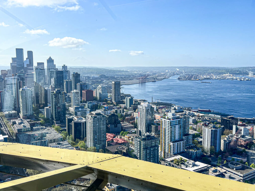 View of Elliott Bay and Skyscrapers from Space Needle.